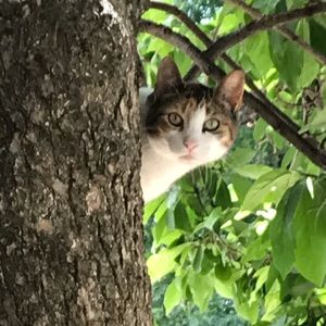 Meet your Posher, Ed